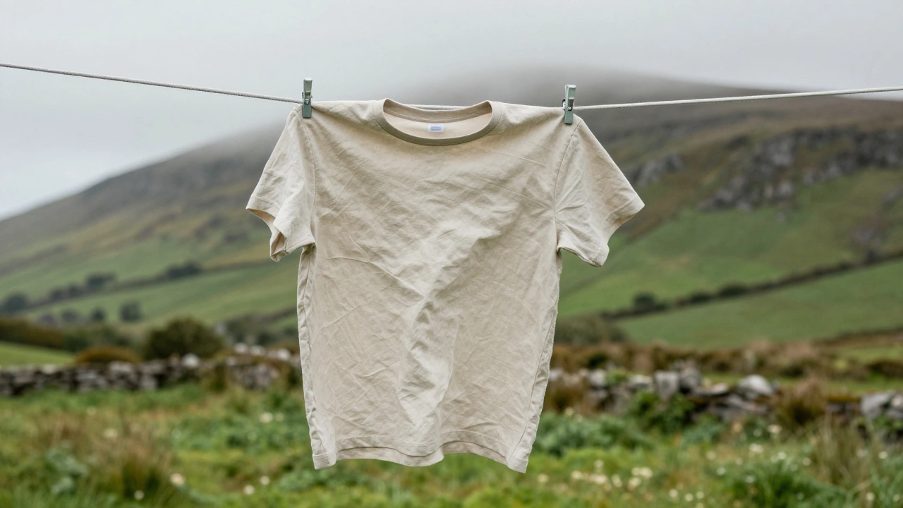 Linen-cotton tee drying on line in misty Irish landscape