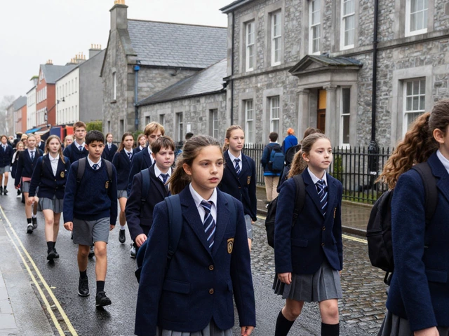 What is the most common school uniform color in Ireland?